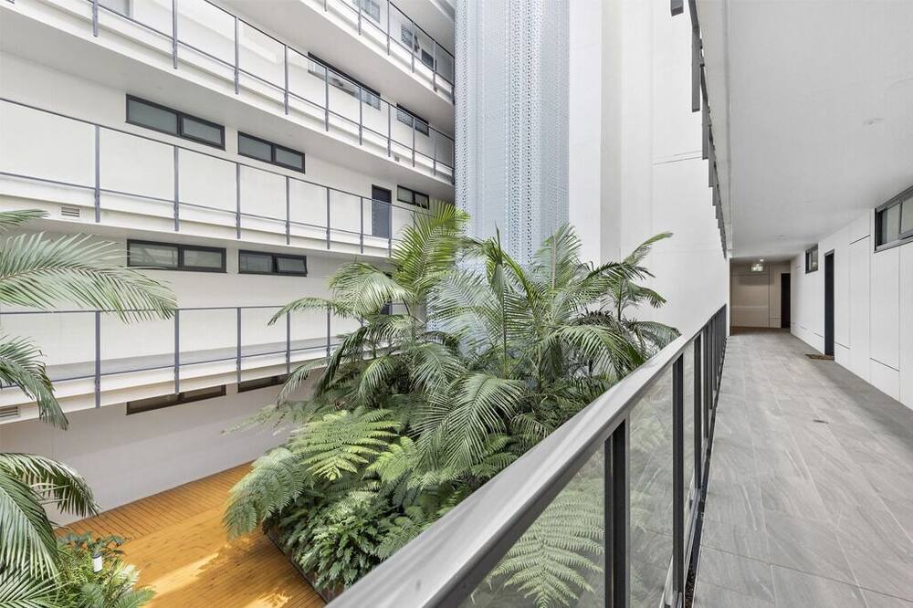 Photo of Others in Dee Why