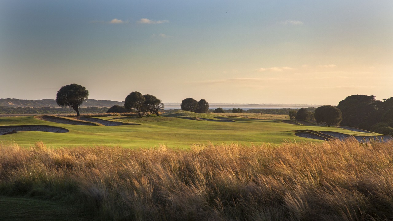 Photo of Others in Torquay