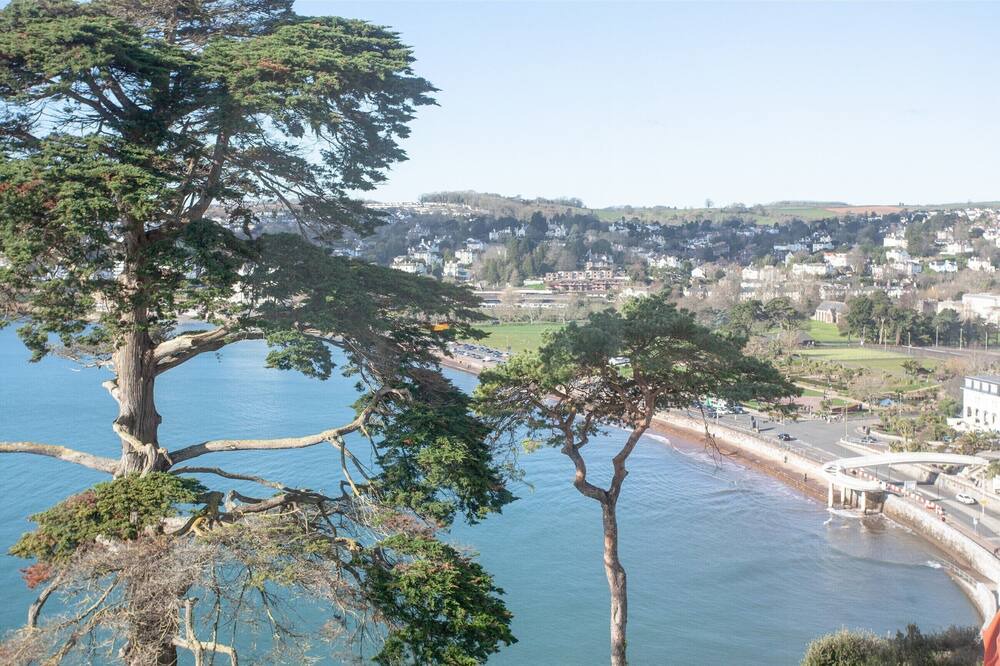 Photo of Others in Torquay City Centre