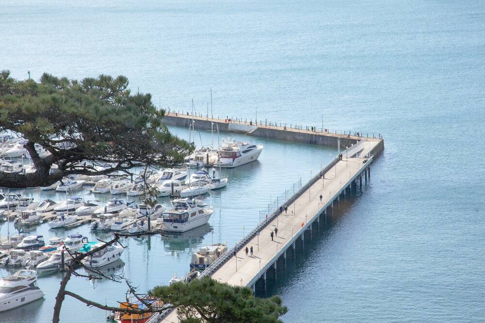 Photo of Others in Torquay City Centre