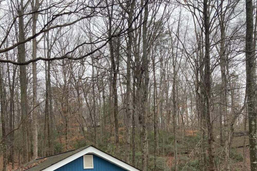 Photo of Others in Lynn