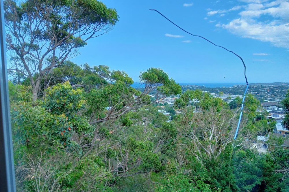 Photo of Others in Brookvale