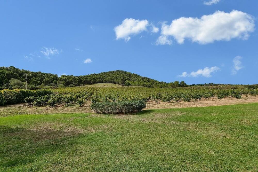 Photo of Others in Rieux-Minervois