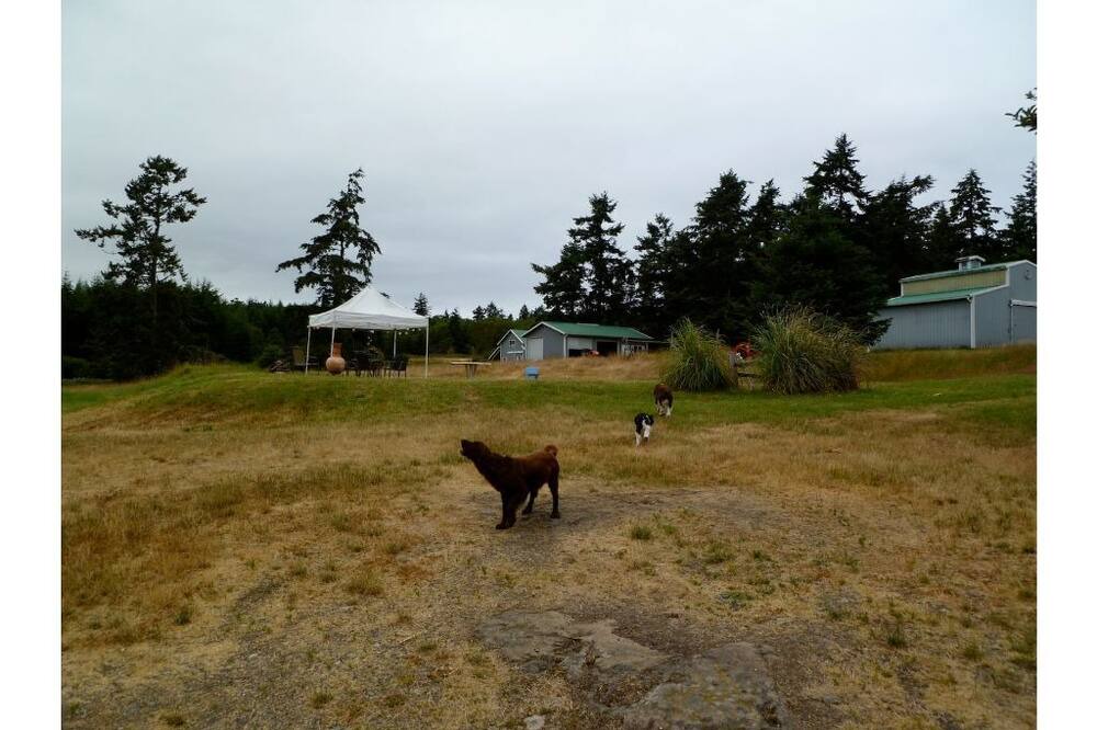 Photo of Outdoor in Friday Harbor