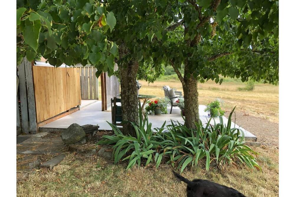 Photo of Outdoor in Friday Harbor