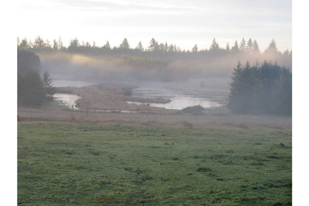Photo of Outdoor in Friday Harbor