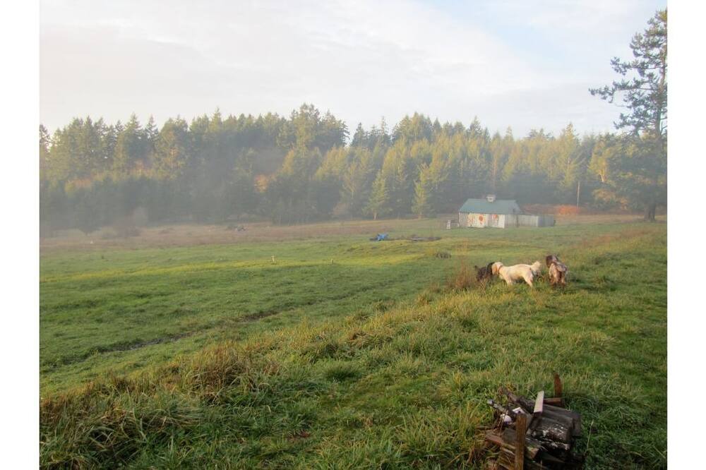 Photo of Outdoor in Friday Harbor