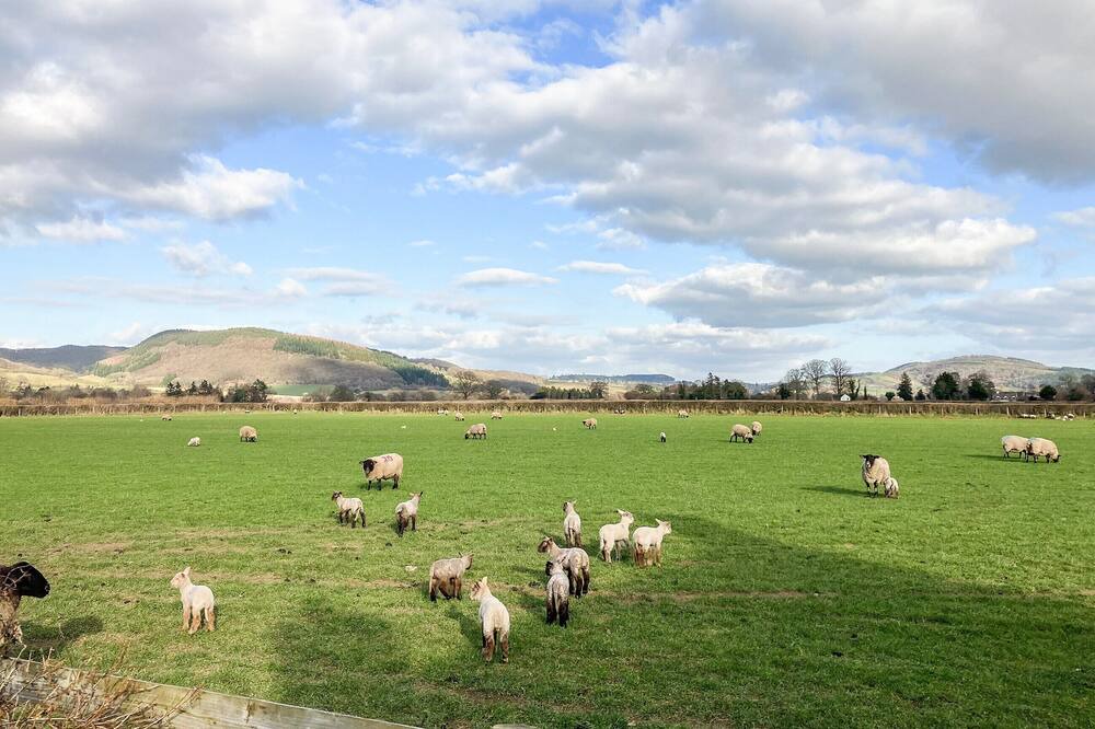 Photo of Outdoor in Presteigne