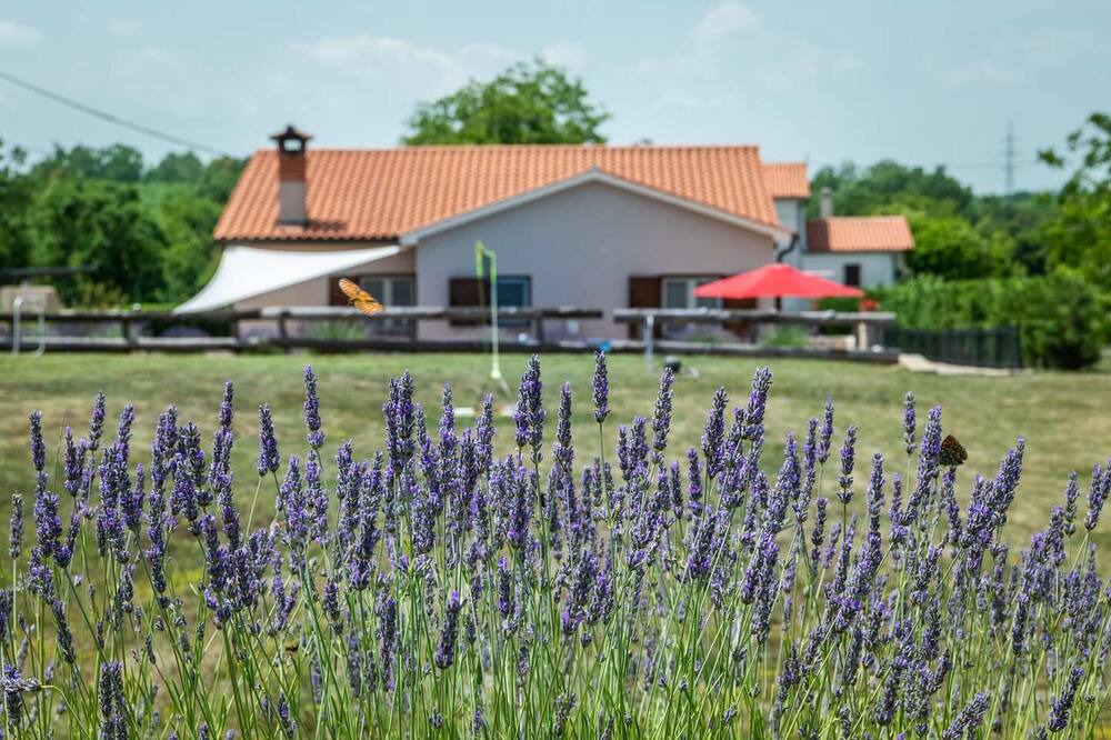 Photo of Outdoor in Nedescina