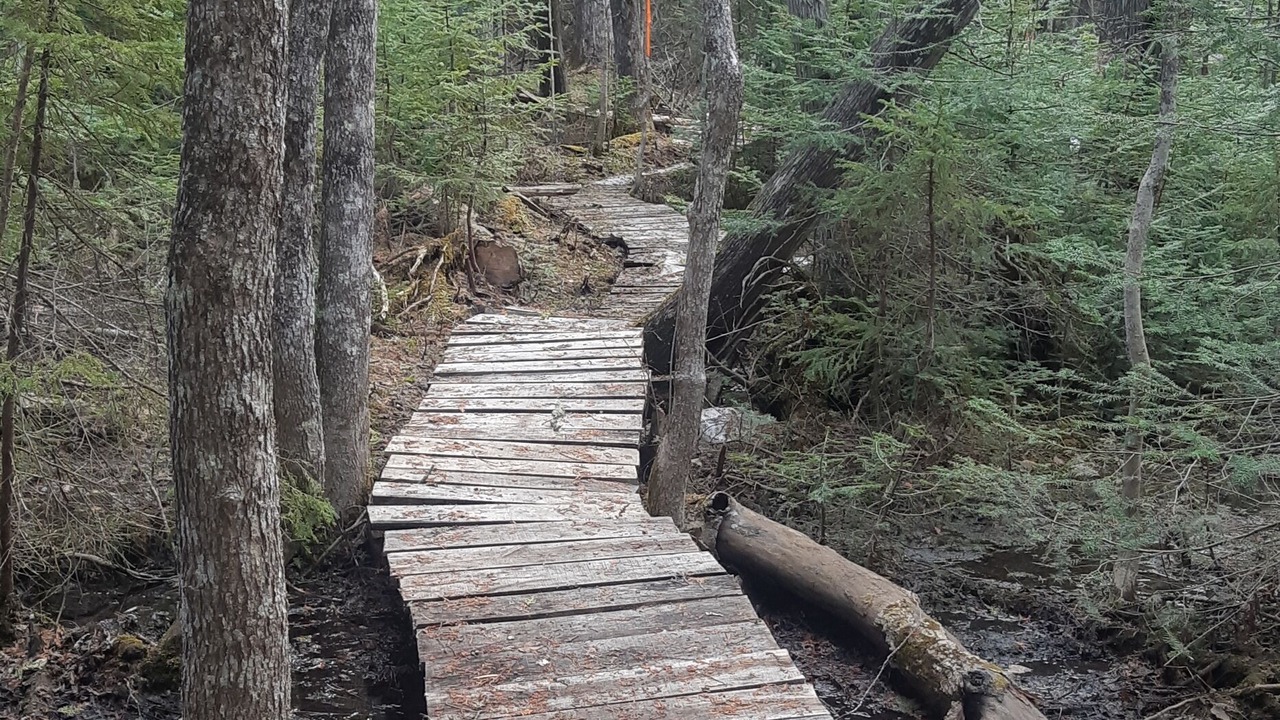Photo of Outdoor in Morin Heights