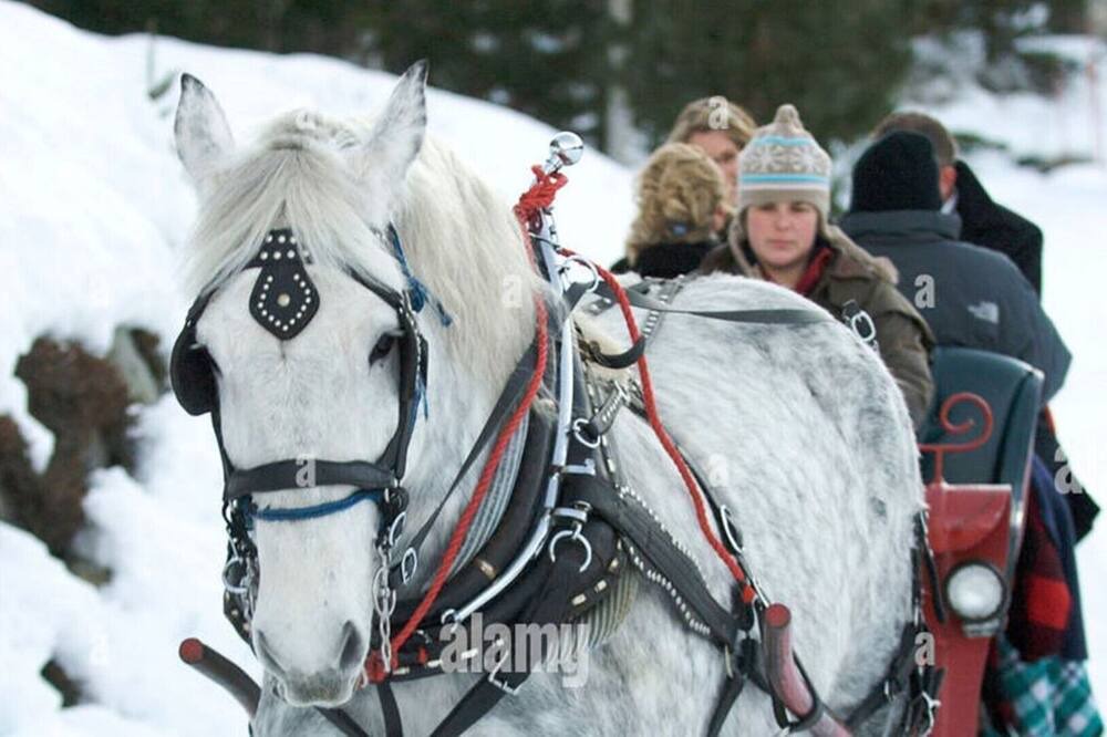 Photo of Others in Sainte-Agathe-des-Monts