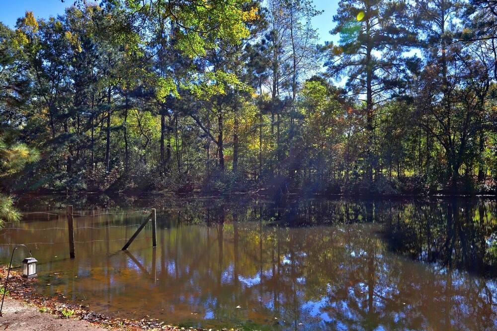 Photo of Outdoor in Conyers