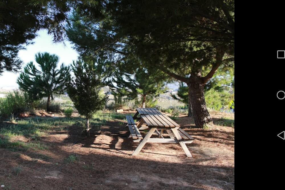 Photo of Outdoor in Agost