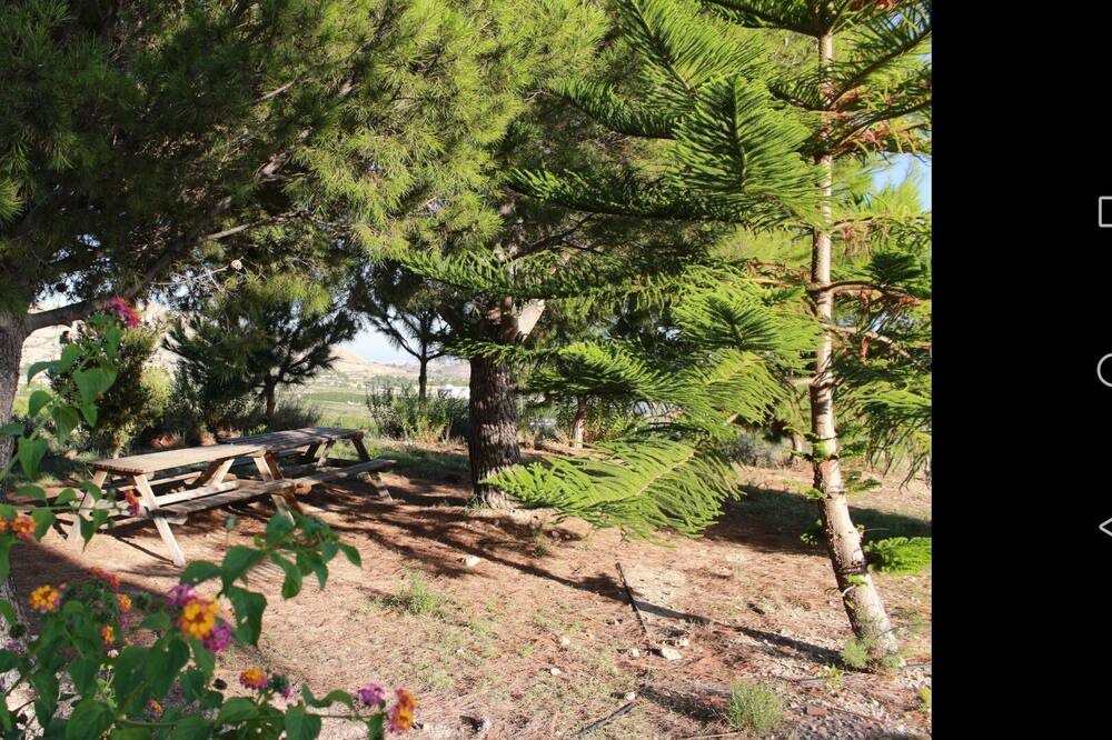 Photo of Outdoor in Agost