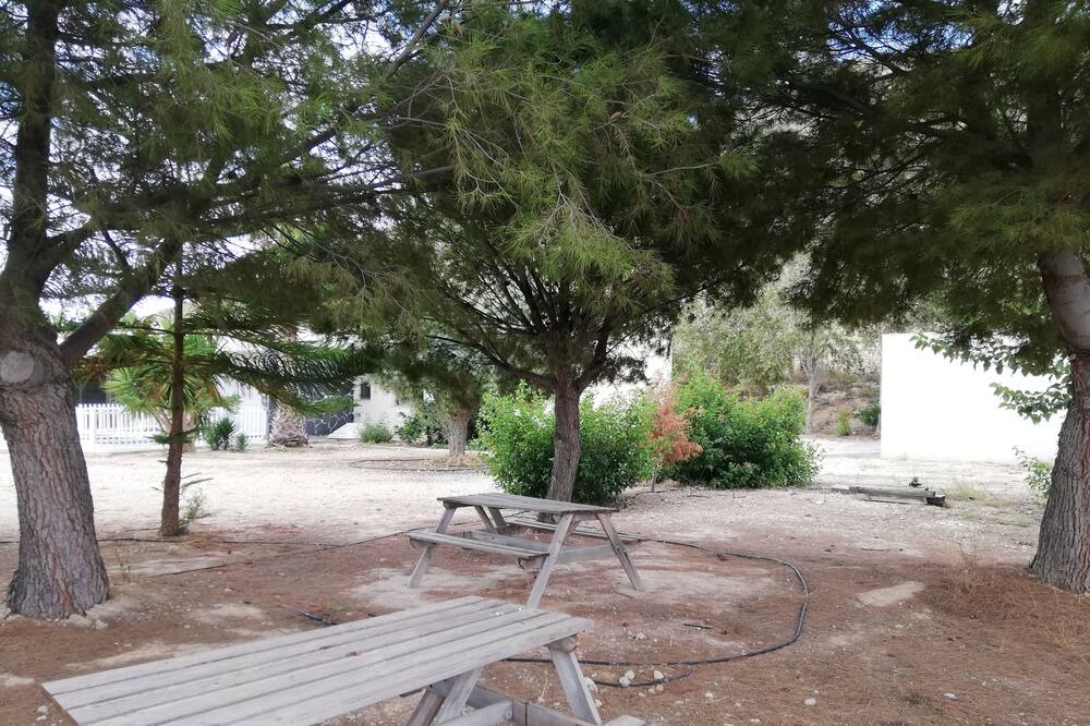 Photo of Outdoor in Agost