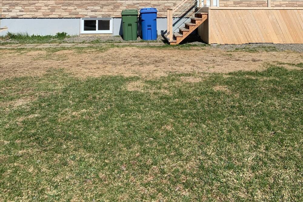 Photo of Outdoor in Le Rocher-Perce Regional County Municipality