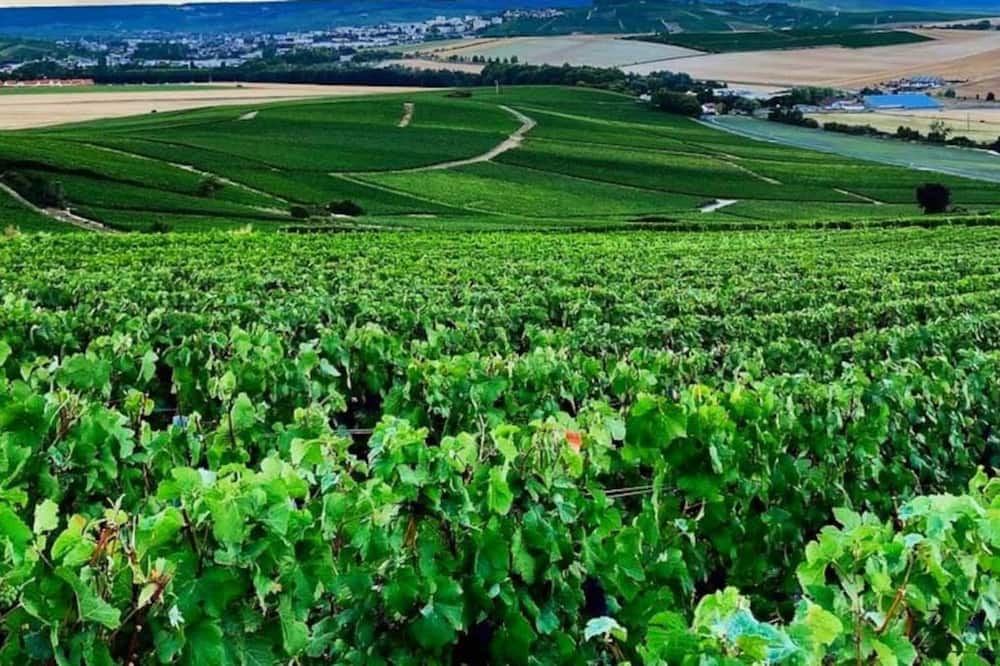 Photo of Others in Hermonville