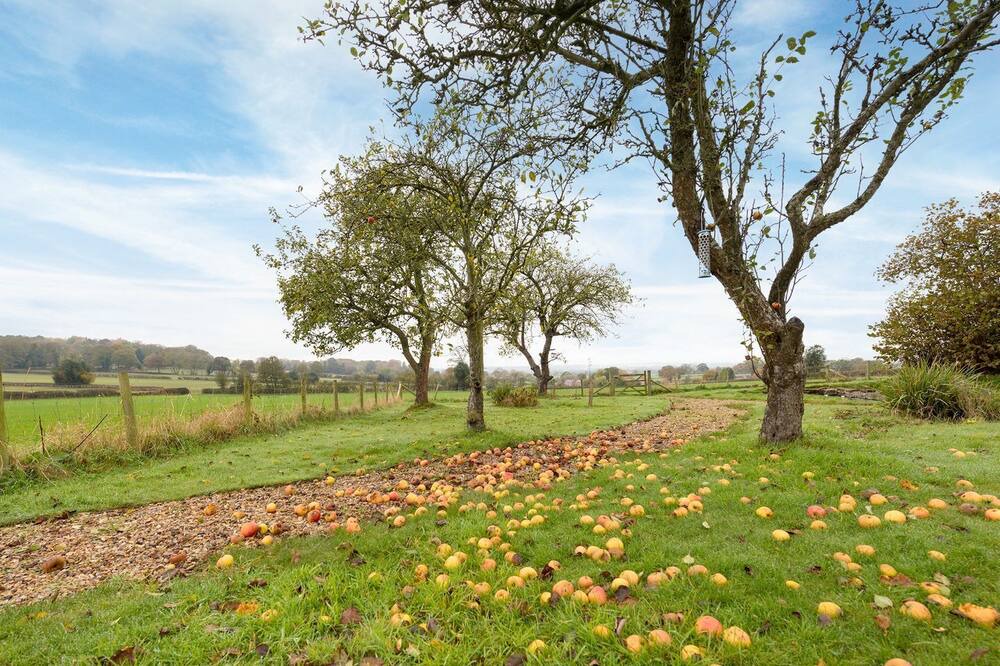 Photo of Outdoor in Loppington