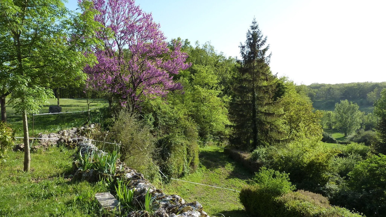 Photo of Outdoor in Cahuzac-sur-Vere
