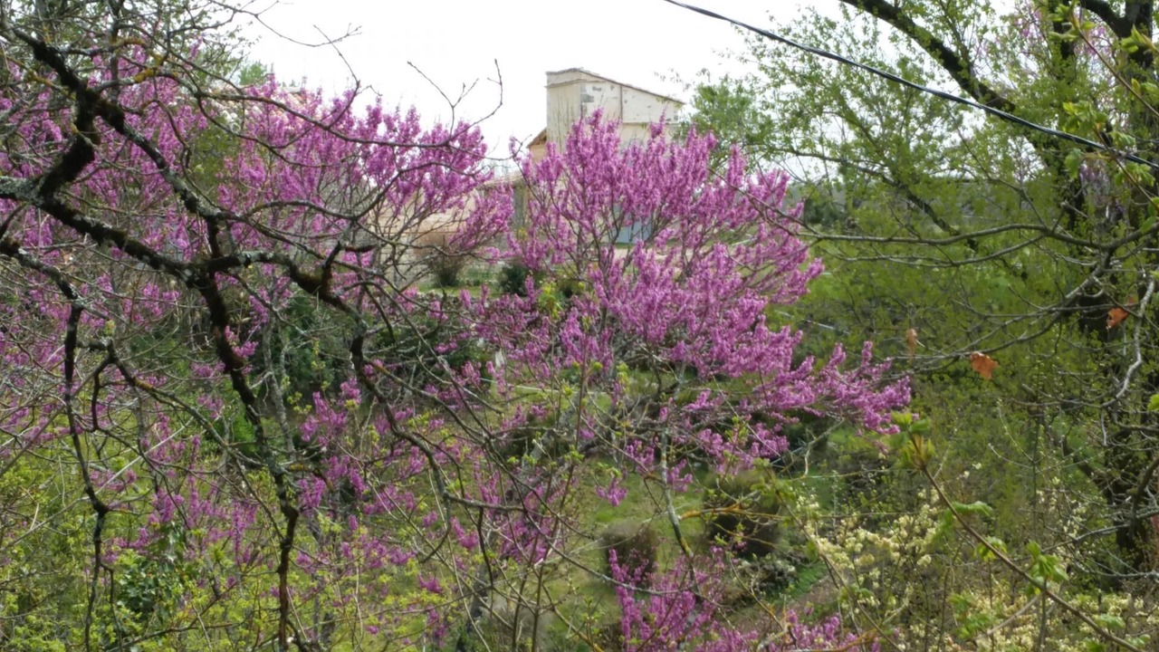 Photo of Outdoor in Cahuzac-sur-Vere