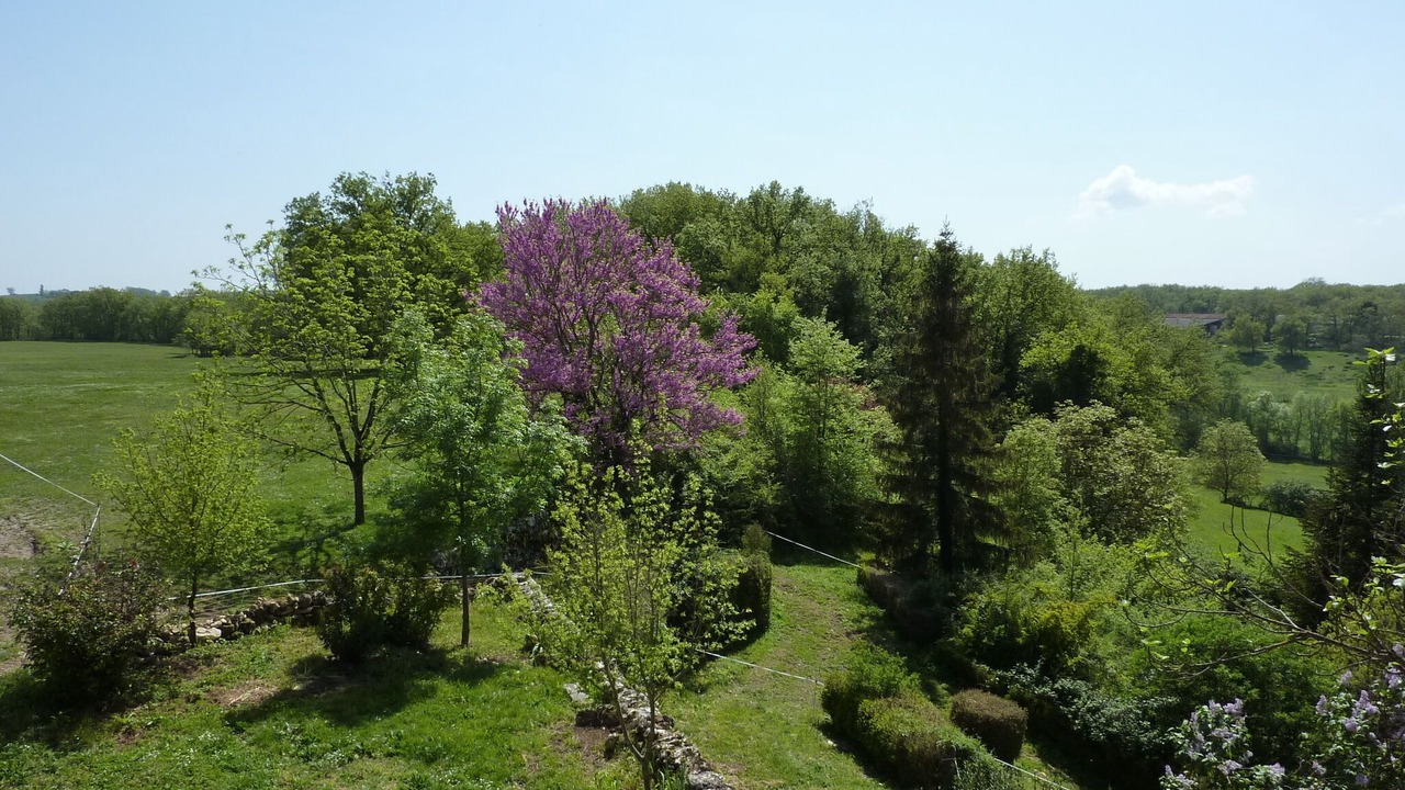 Photo of Outdoor in Cahuzac-sur-Vere
