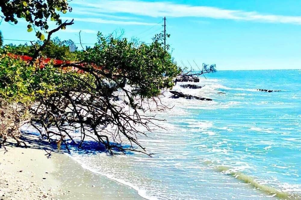 Photo of Others in Matlacha