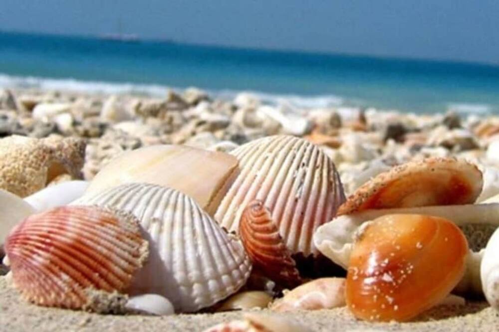 Photo of Others in Matlacha