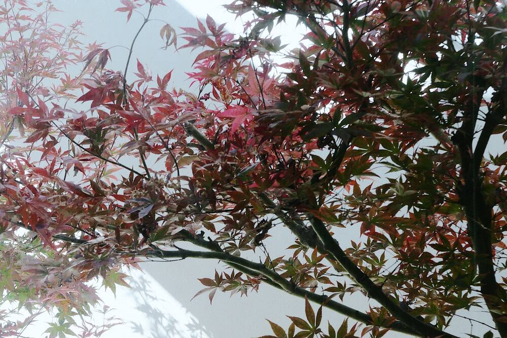 Photo of Outdoor in Pocket