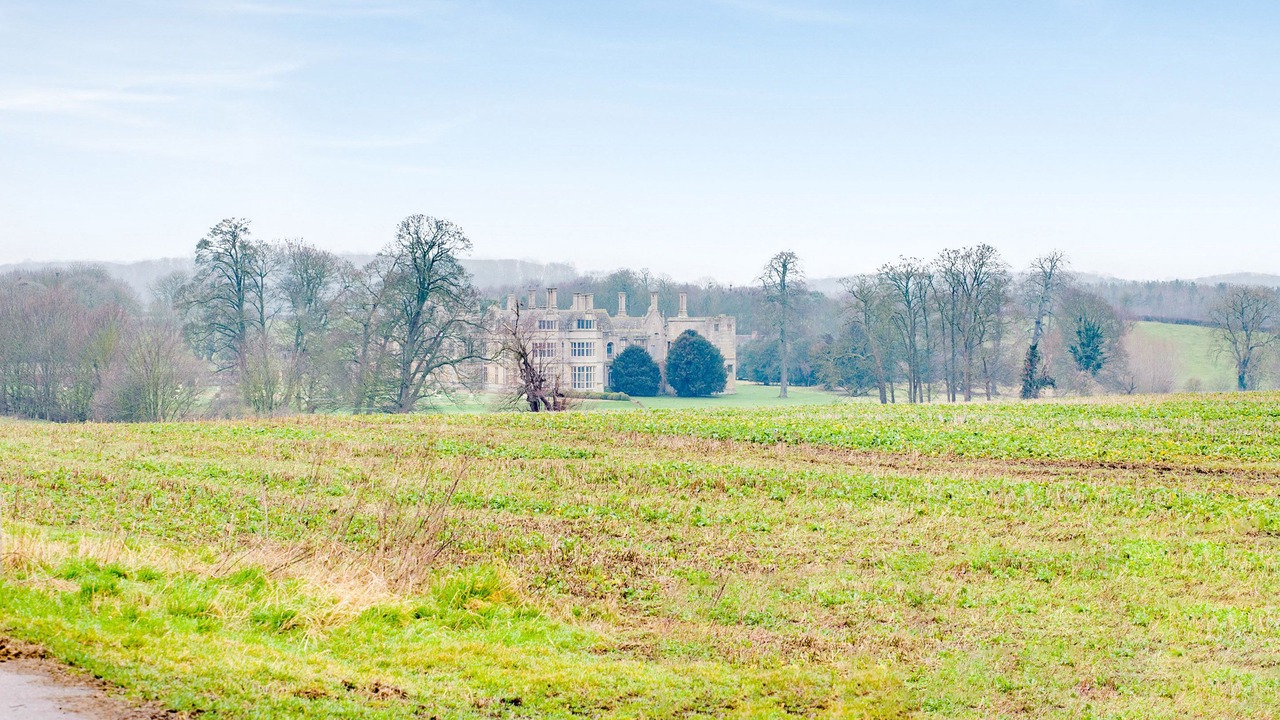 Photo of Others in Corby