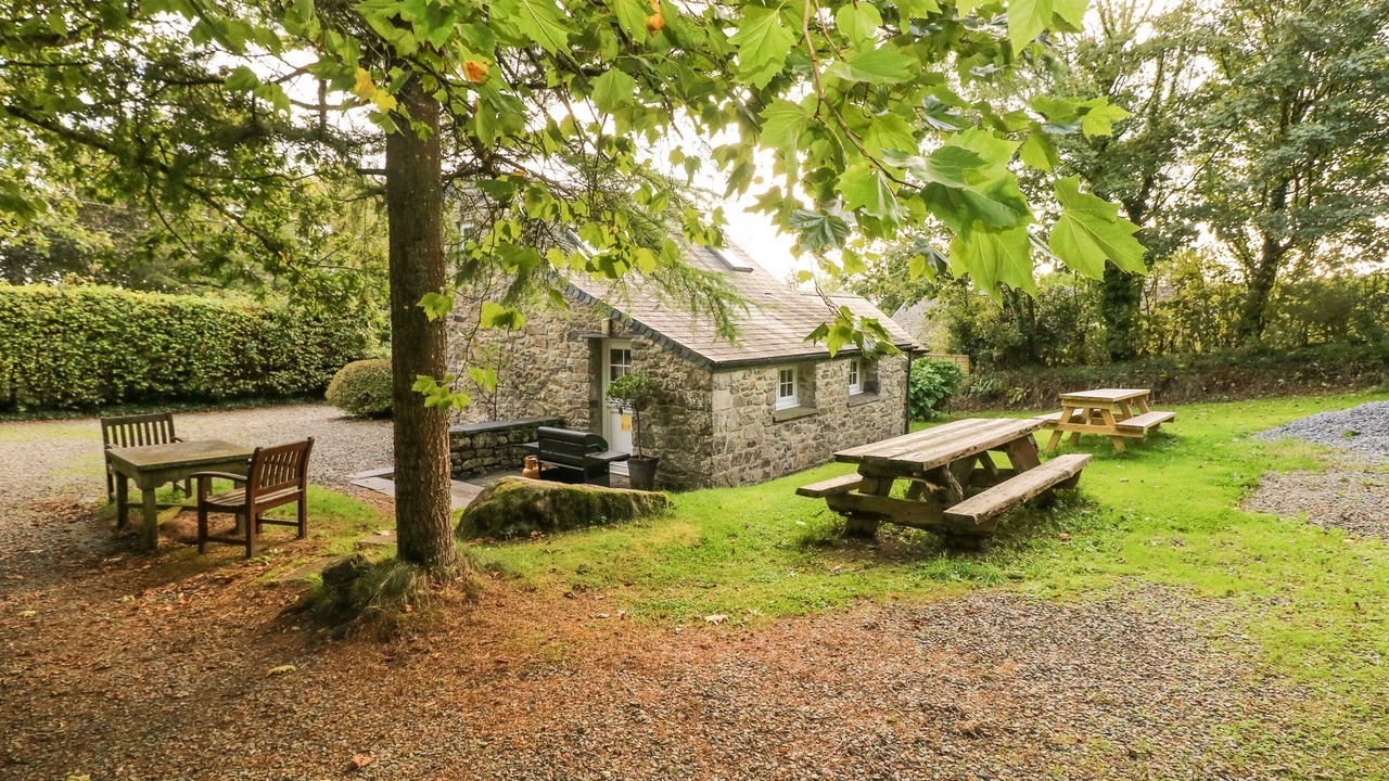 Photo of Others in Llys Y Fran