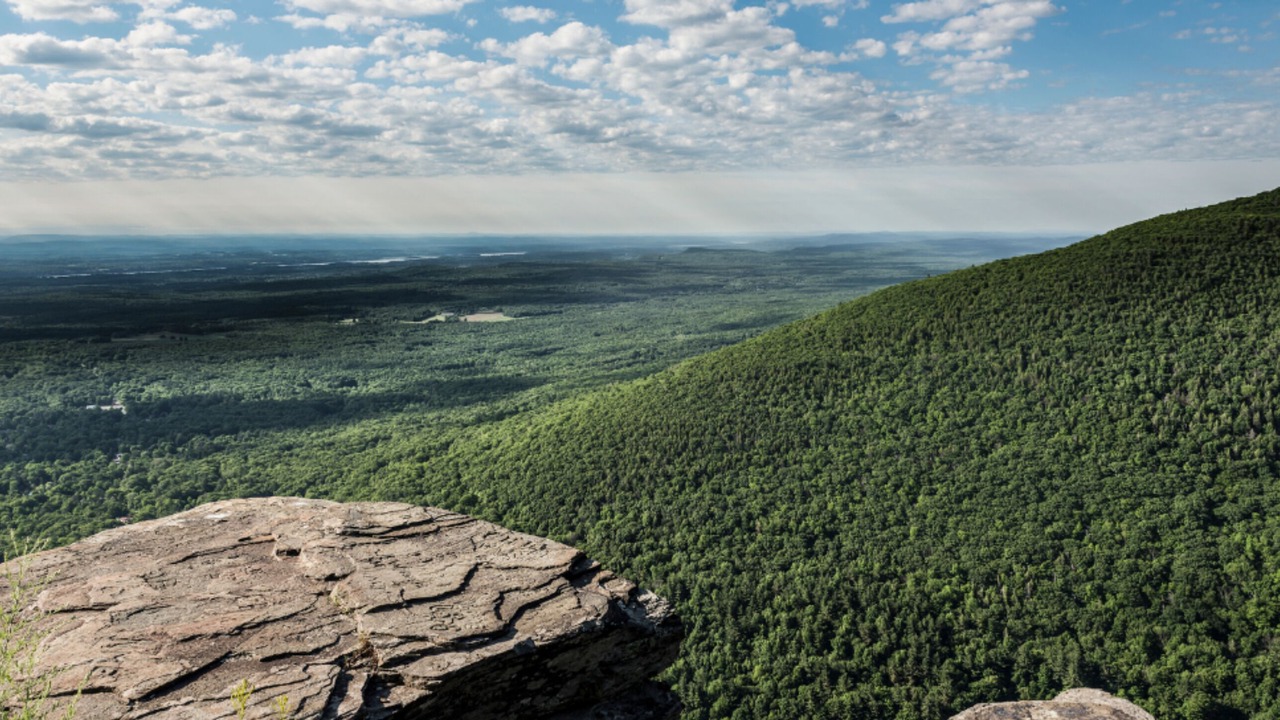 Photo of Outdoor in Saugerties