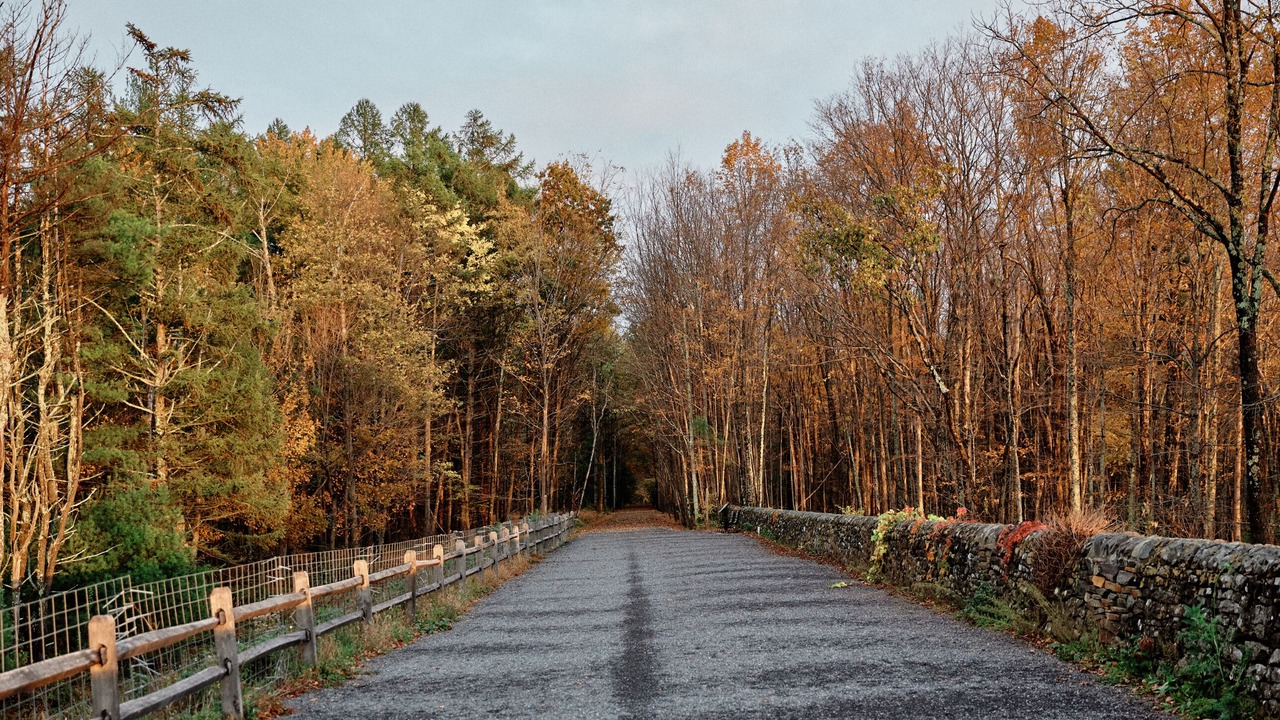 Photo of Outdoor in Saugerties