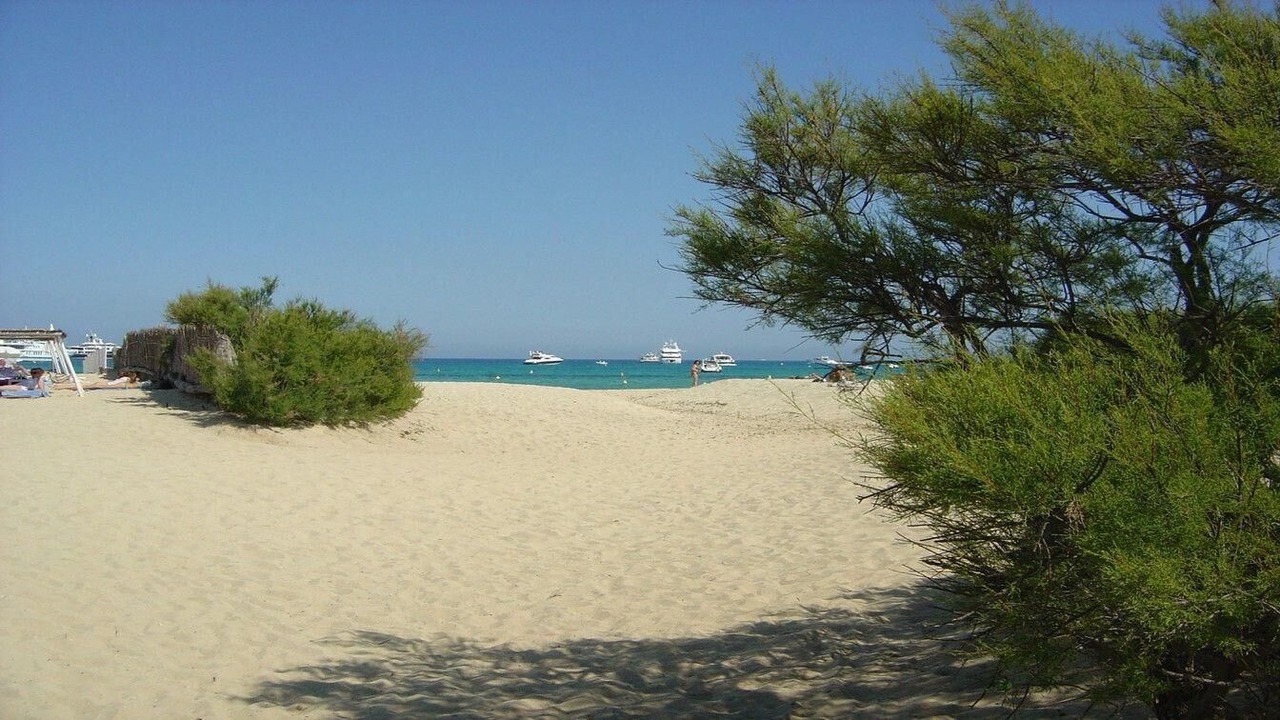 Photo of Others in Plage de la Garonnette