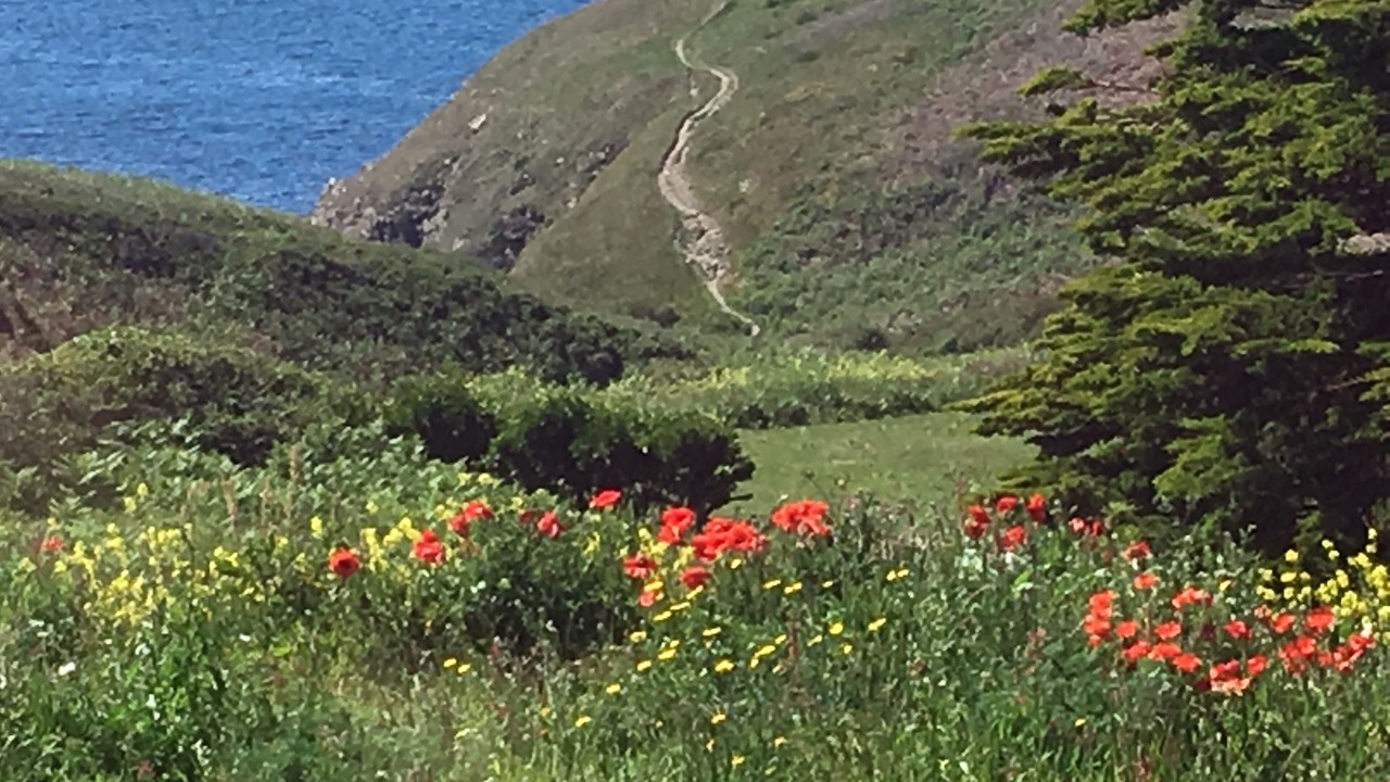 Photo of Outdoor in Pouldreuzic