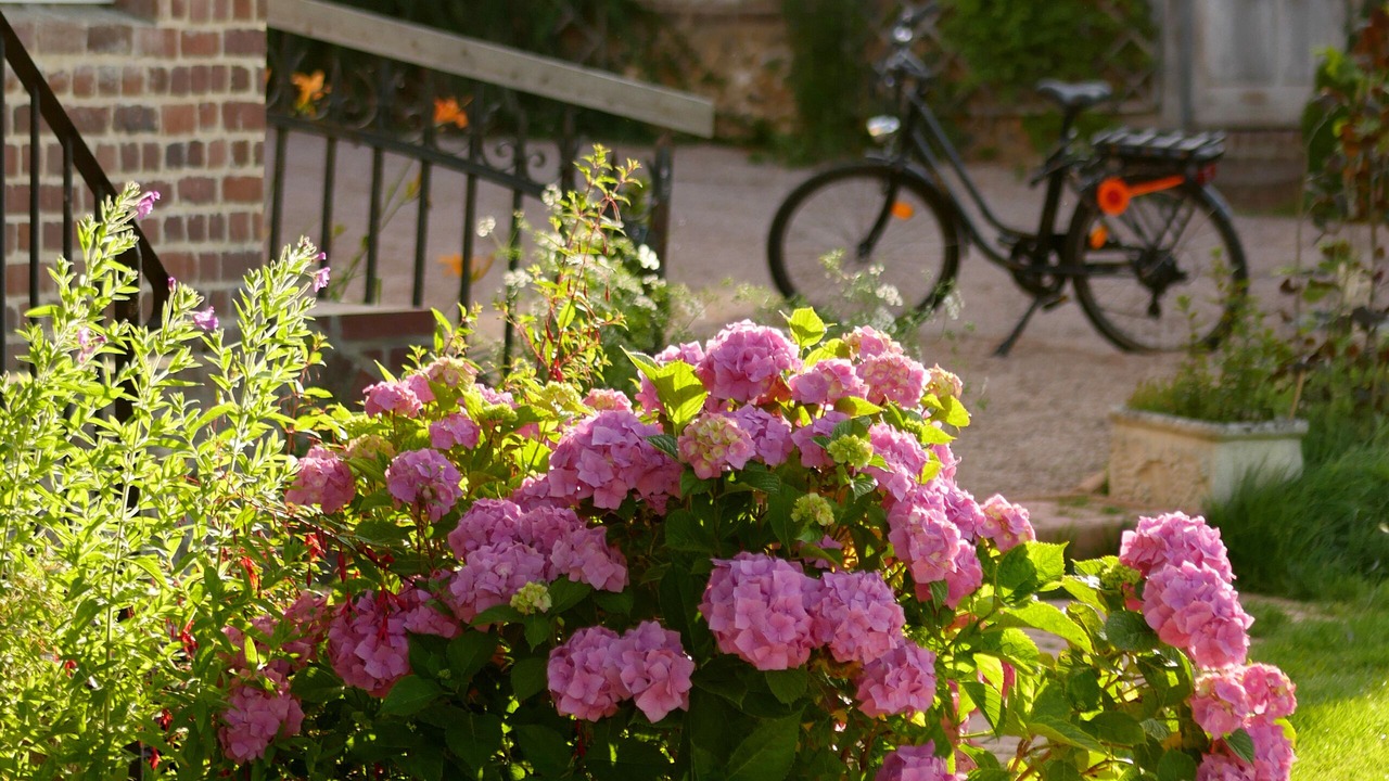Photo of Outdoor in La Riviere-Saint-Sauveur