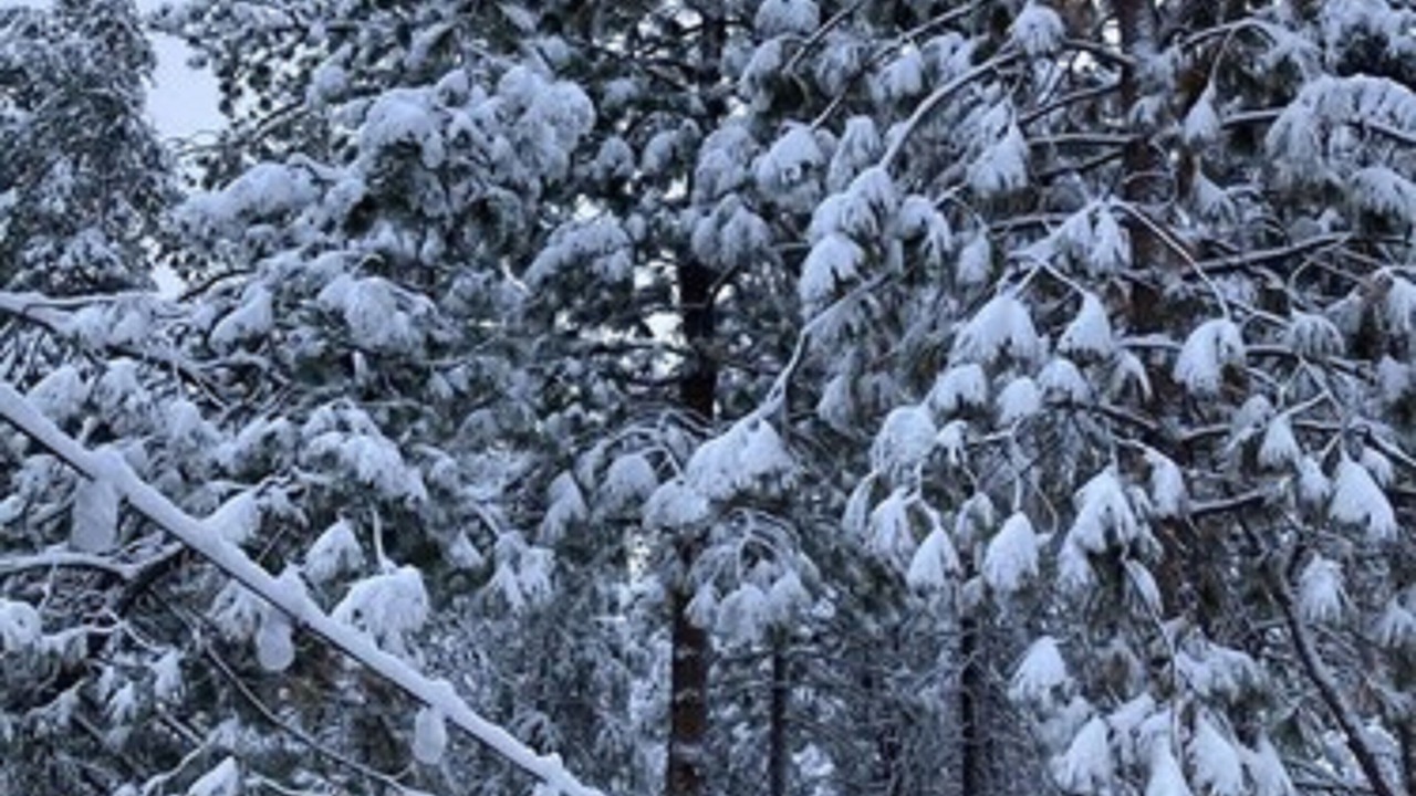 Photo of Outdoor in Pine Mountain Club