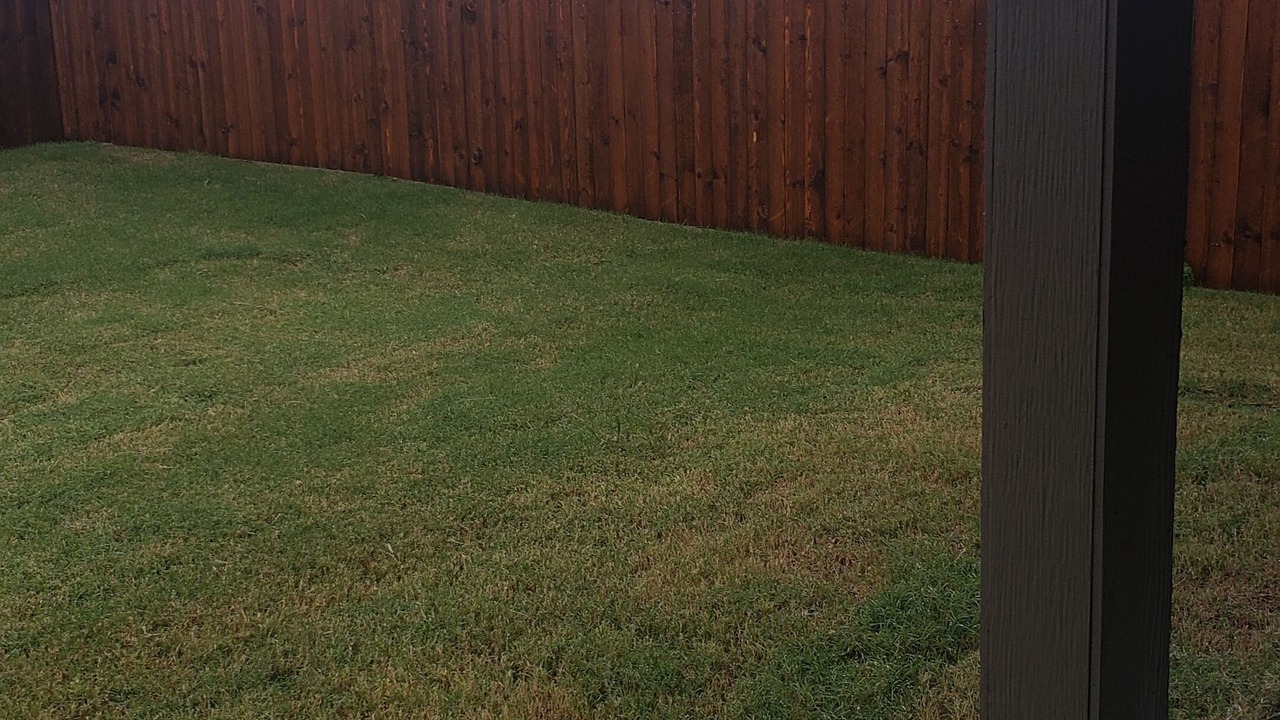 Photo of Outdoor in Royse City