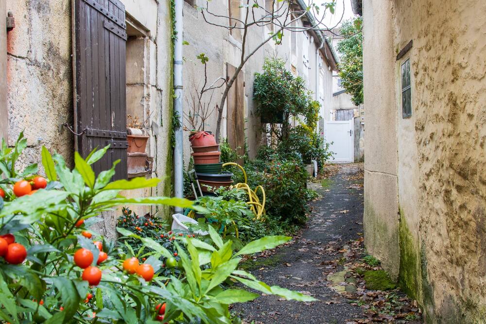 Photo of Outdoor in Poitiers