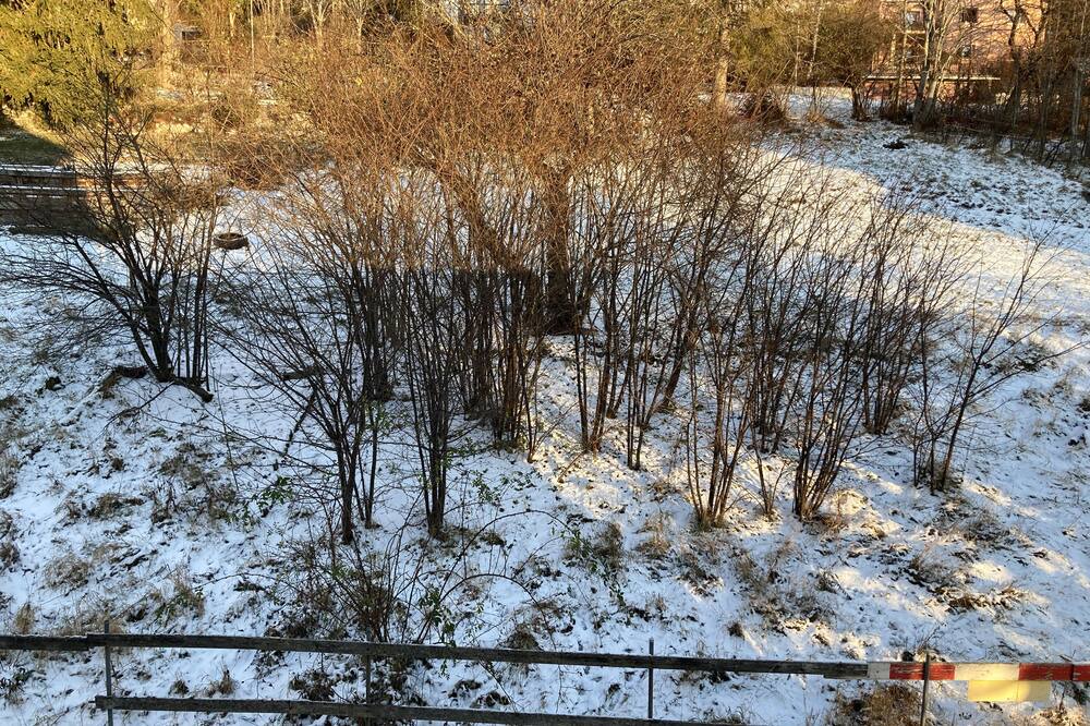 Photo of Outdoor in Tramelan