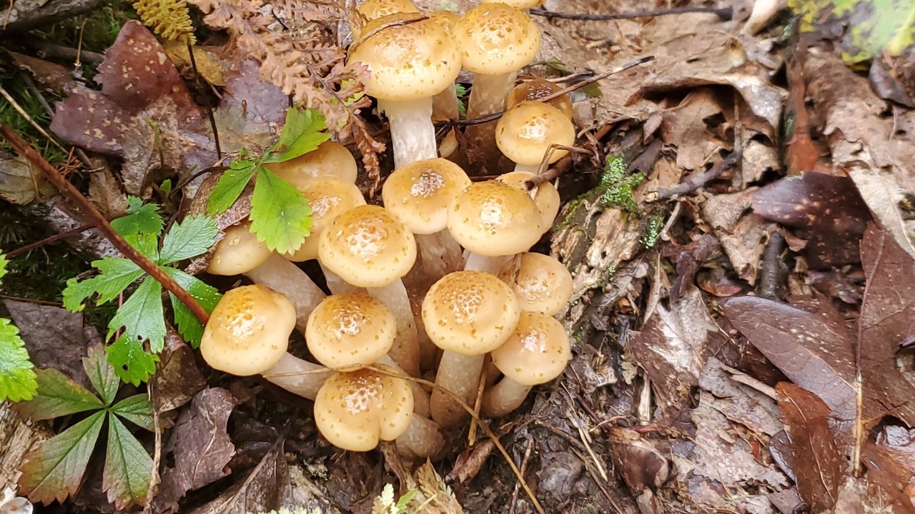 Photo of Others in Kerhonkson