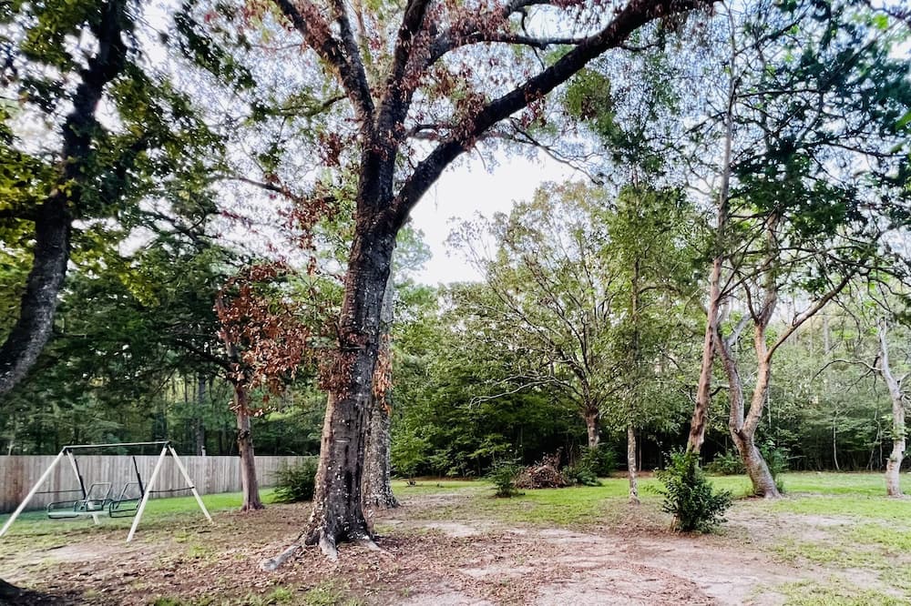 Photo of Outdoor in Lufkin