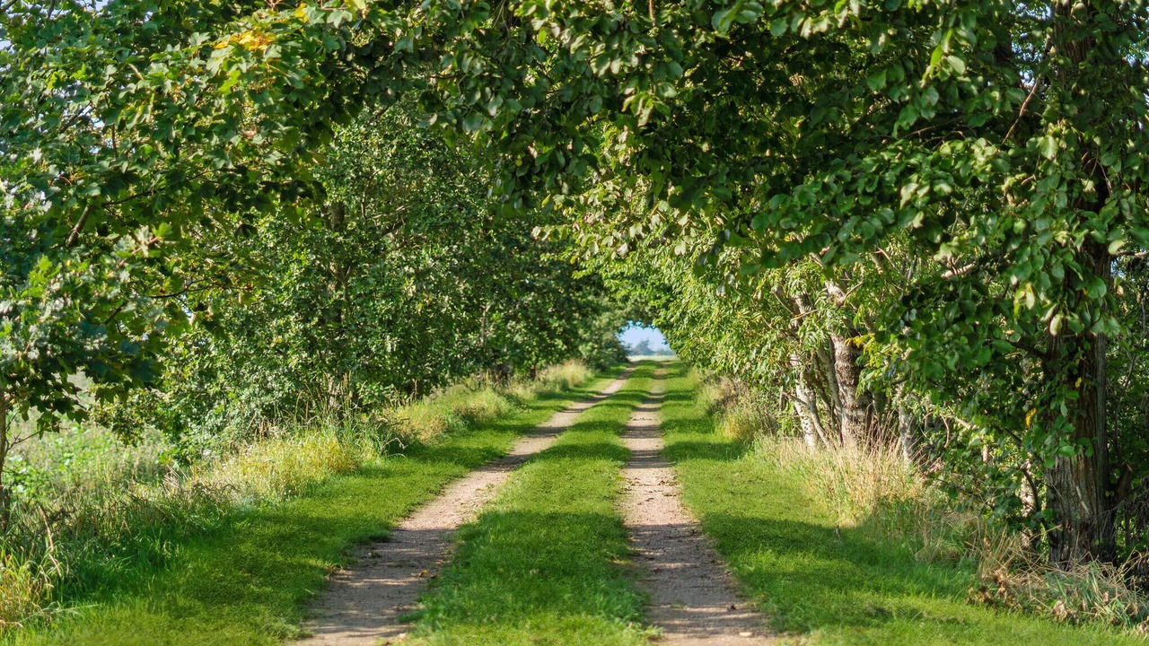 Photo of Outdoor in Snogebaek