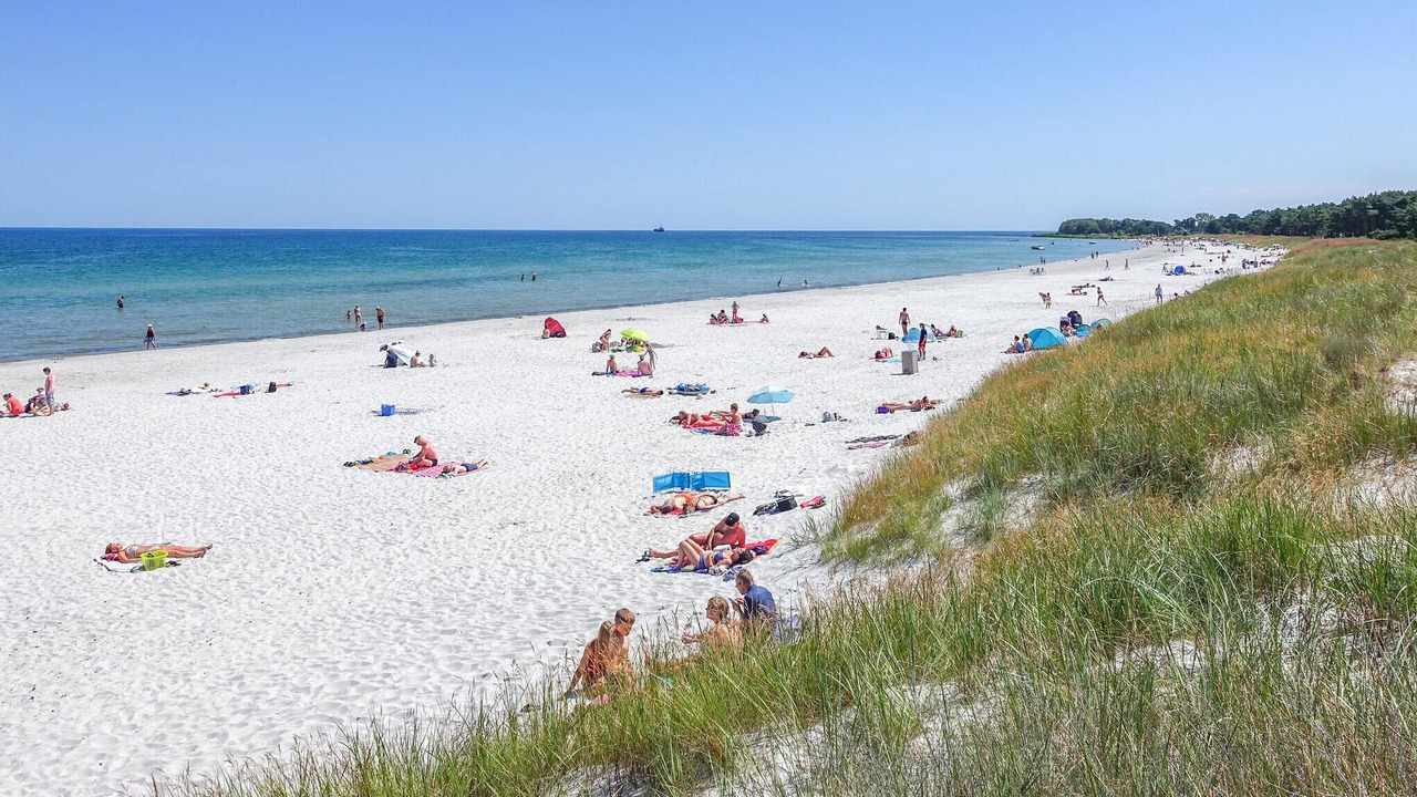 Photo of Others in Snogebaek