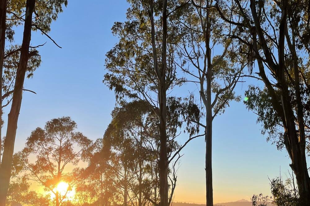 Photo of Outdoor in Tolmie