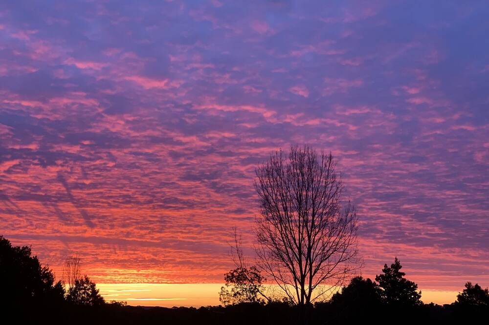 Photo of Others in Tolmie