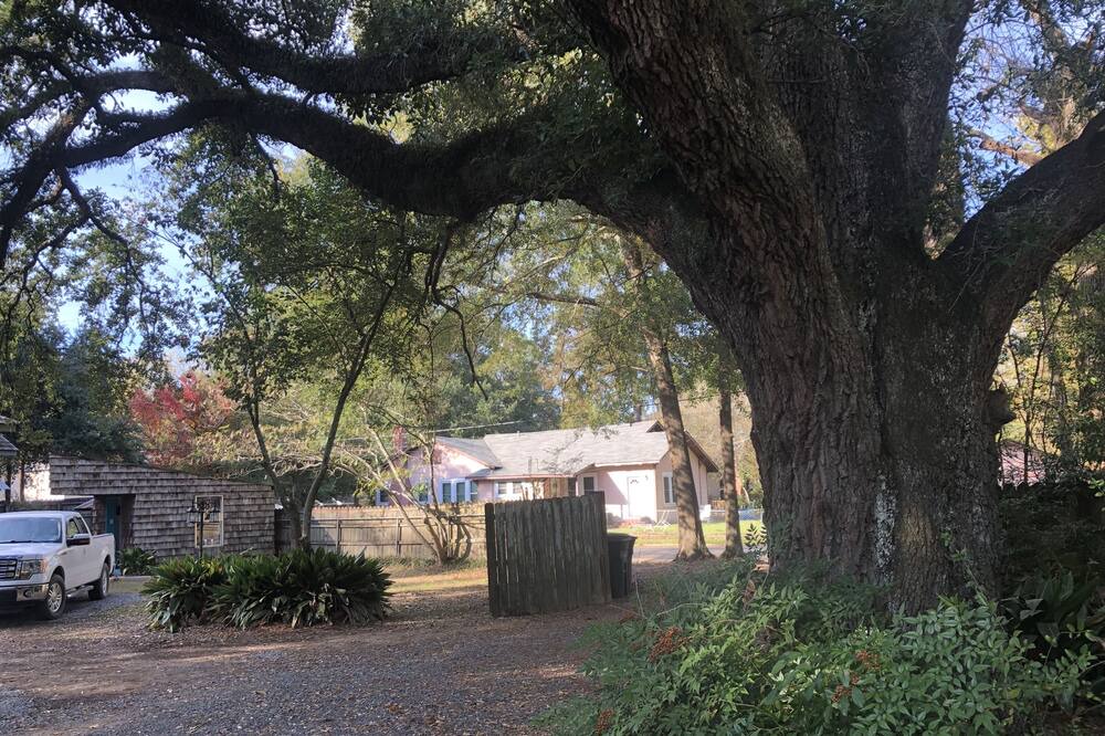 Photo of Outdoor in Natchitoches