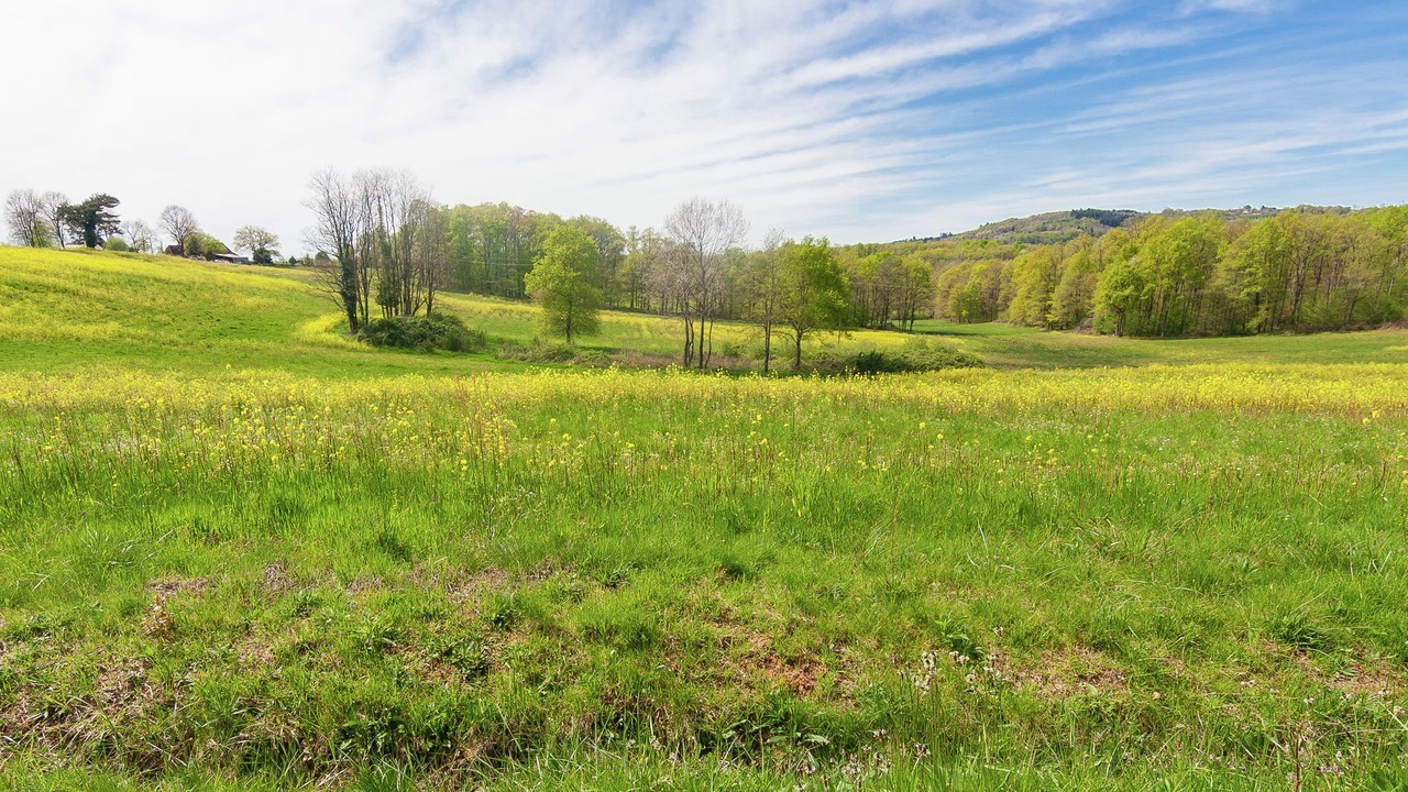 Photo of Others in Coubjours