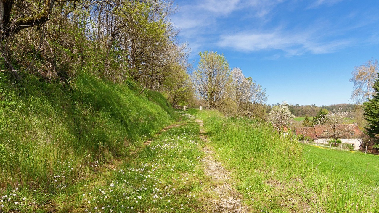 Photo of Outdoor in Coubjours