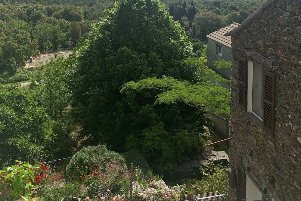 Photo of Others in Oreta