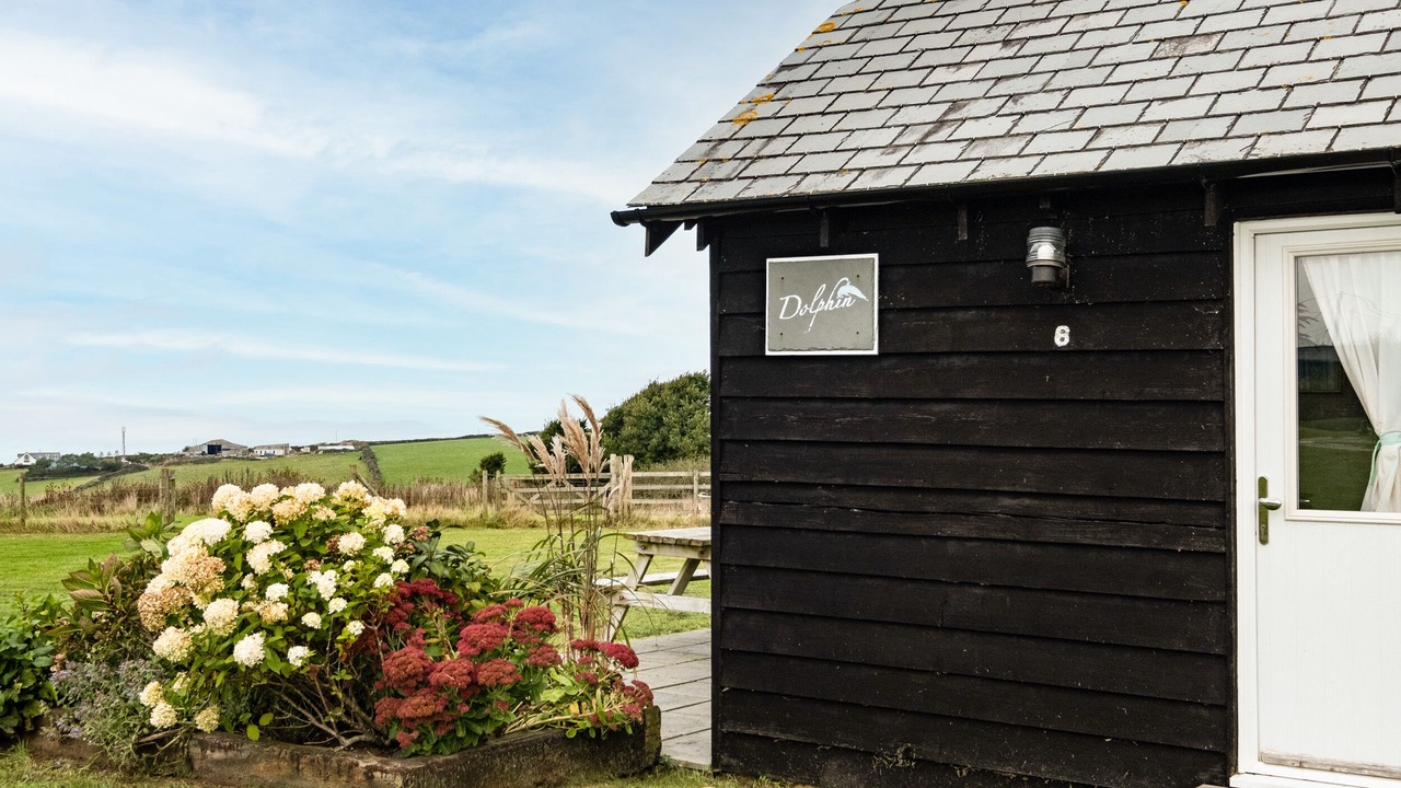 Photo of Others in Port Isaac